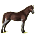 Pony Deutsches Reitpony Fuchs
