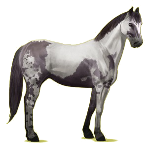 Reitpferd Paint Horse Overo-Fuchsschecke