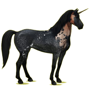 Einhorn-Reitpferd Mustang Roan