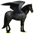 Pegasus-Reitpferd Andalusier Brauner