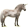 Einhorn-Pony Braunfalben
