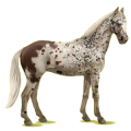 Reitpferd Trakehner Rappe