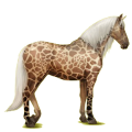 Reitpferd Andalusier Rotbrauner