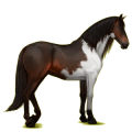 Pegasus-Reitpferd Andalusier Apfelschimmel