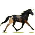 Einhorn-Reitpferd Orlow-Traber Rappe