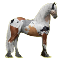 Reitpferd Friese Rappe