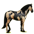 Reitpferd Lusitano Hellgrau