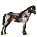 Pony Rotbrauner