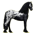 Reitpferd Friese Rappe