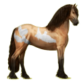 Reitpferd Friese Rappe