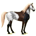 Pegasus-Reitpferd Mustang Rappe