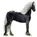 Reitpferd Friese Rappe