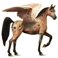Pegasus-Reitpferd Araber Forellenschimmel