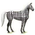 Reitpferd Roan