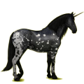 Einhorn-Reitpferd Rappe