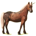 Einhorn-Pony Haflinger Palomino