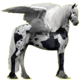Pegasus-Reitpferd Friese Rappe