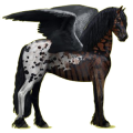 Pegasus-Reitpferd Friese Rappe