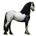 Reitpferd Friese Rappe