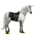 Einhorn-Reitpferd Paso Peruano Dunkelbrauner