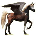 Pegasus-Reitpferd Araber Dunkelfuchs