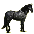 Reitpferd Lusitano Dunkelbrauner