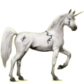 Einhorn-Reitpferd Araber Rappe
