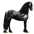 Reitpferd Friese Rappe