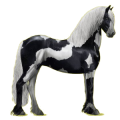 Reitpferd Friese Rappe