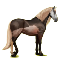 Reitpferd Andalusier Hellgrau
