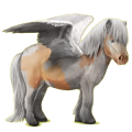 Pegasus-Pony Shetlandpony Palomino mit Tobiano-Scheckung