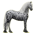 Reitpferd Friese Rappe