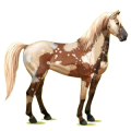 Reitpferd Mustang Fuchs mit heller Mähne