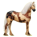 Reitpferd Friese Rappe
