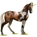 Einhorn-Reitpferd Marwari Brauner