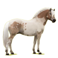 Pony Norweger Braunfalben