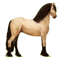 Reitpferd Friese Rappe