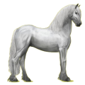 Reitpferd Friese Rappe