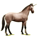 Einhorn-Reitpferd Rotbrauner