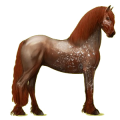Reitpferd Friese Rappe