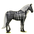Reitpferd Andalusier Cremello