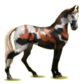 Pegasus-Reitpferd Marwari Dunkelfuchs