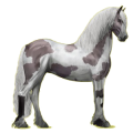 Reitpferd Friese Rappe