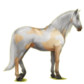 Reitpferd Lipizzaner Rotbrauner
