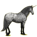 Einhorn-Reitpferd Lipizzaner Hellgrau