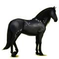 Reitpferd Andalusier Dunkelfuchs