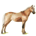 Pony Deutsches Reitpony Fuchs mit heller Mähne