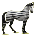 Reitpferd Marwari Dunkelbrauner