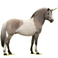 Einhorn-Pony Norweger Graufalben