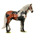 Reitpferd Andalusier Cremello